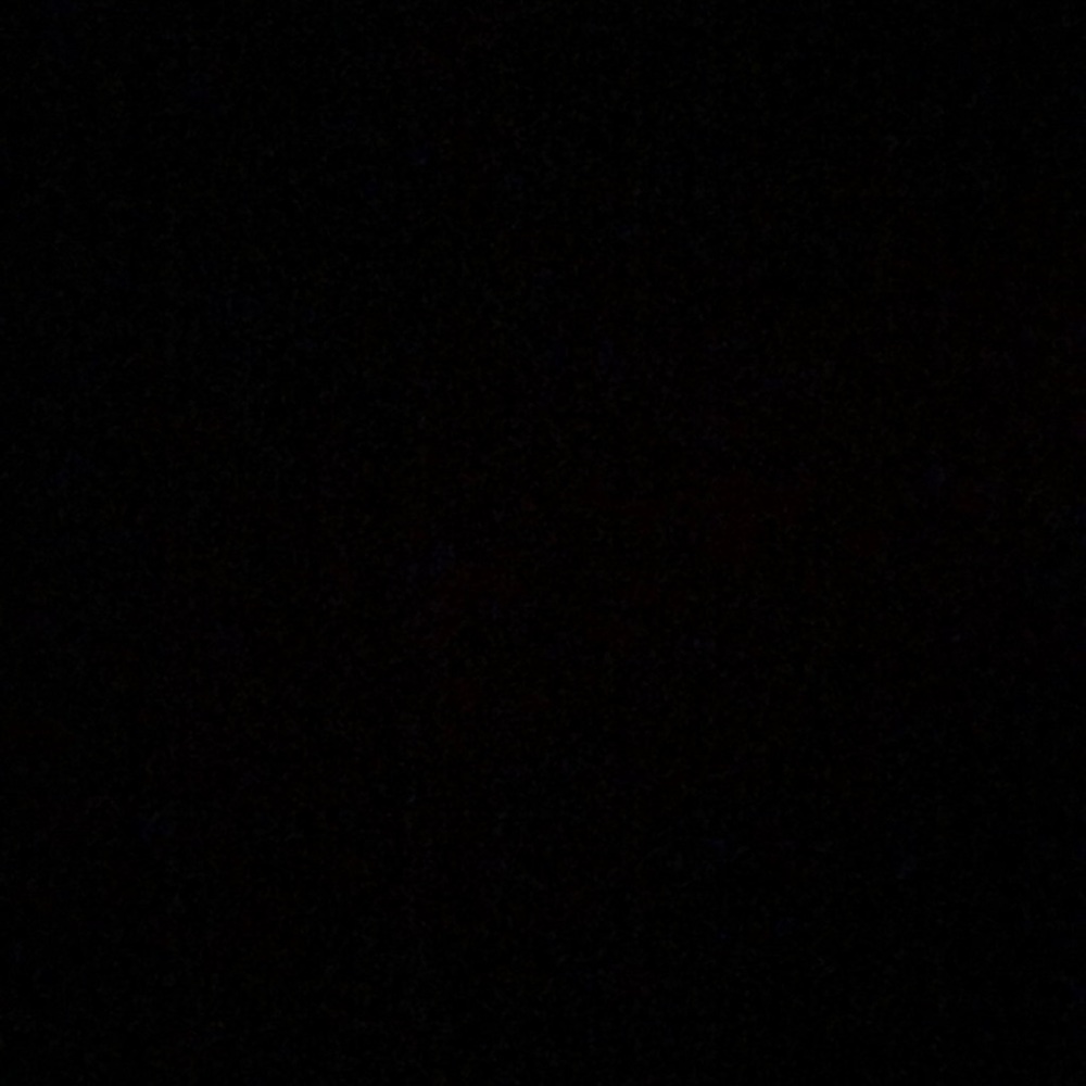 Meet your Posher, Shayna